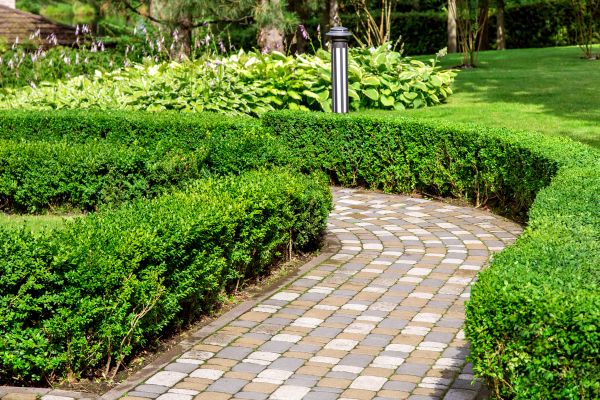 Paved Landscaping in Sun City West