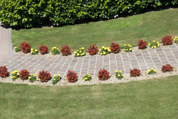 Garden Paving in Sun City West