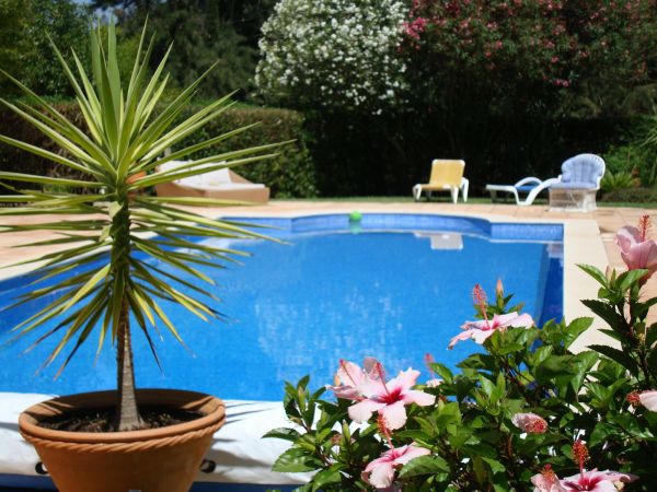 Cost of Pool Terrace Renovation in Sun City West