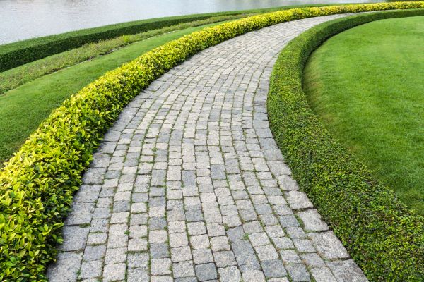 Sidewalk Pavers Installation in Sun City West
